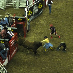 San Antonio Rodeo 2014